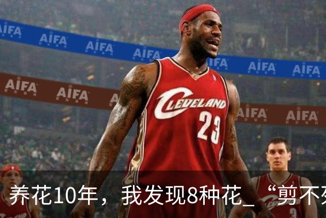 养花10年，我发现8种花 “剪不死”反而会越长越旺，比施肥都管用