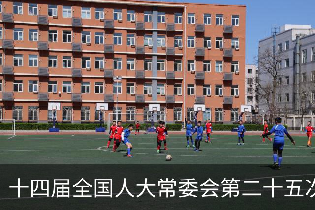 十四届全国人大常委会第二十五次会议11月2日至6日在京举行