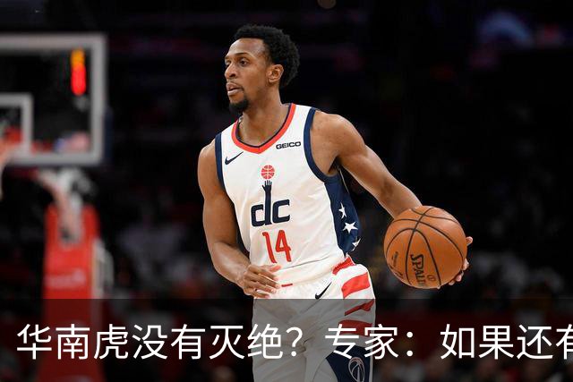 华南虎没有灭绝？专家：如果还有，最可能在山西，不在广东福建