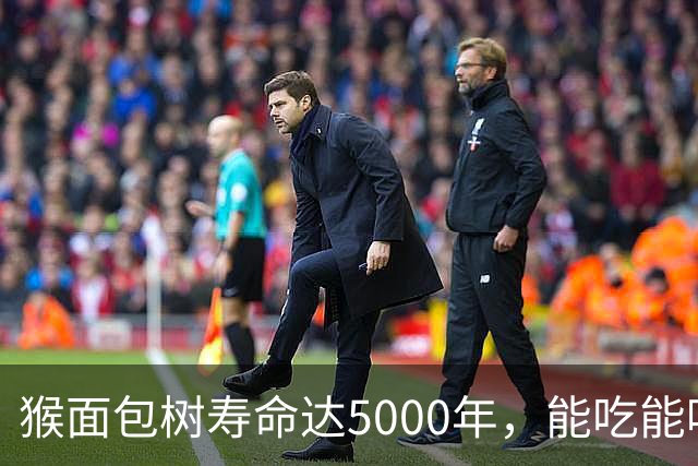 猴面包树寿命达5000年，能吃能喝又能住，为何引进中国却大变样？
