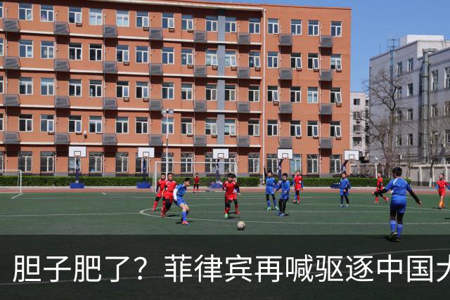 胆子肥了？菲律宾再喊驱逐中国大使，中方强硬回击：要动手就趁早