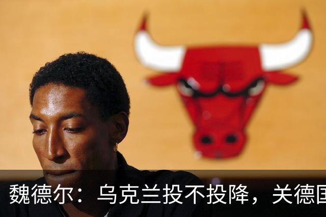 魏德尔：乌克兰投不投降，关德国什么事？欧洲什么事